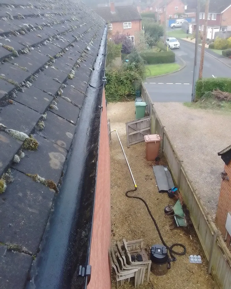 A gutter full of moss along a tiled roof